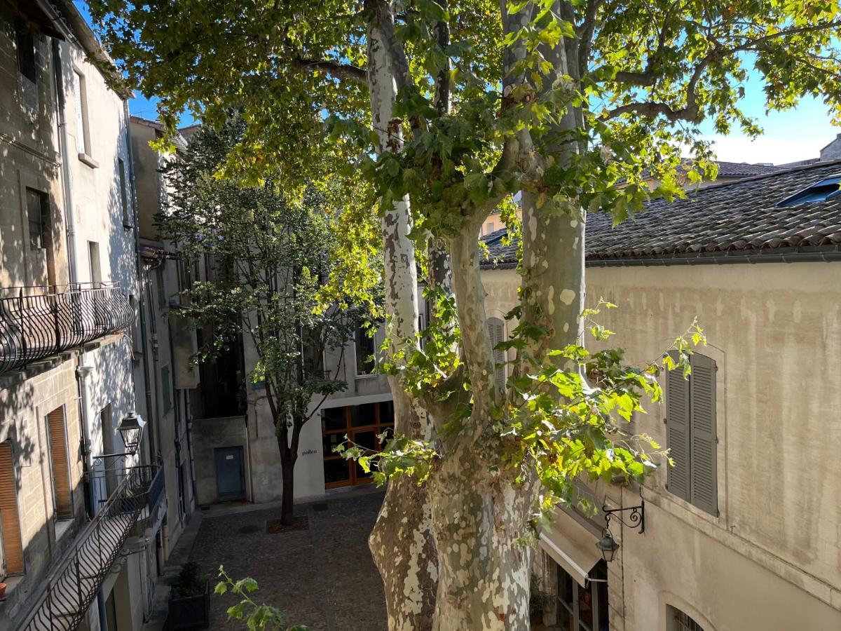 La Charmante Du Palais 2 Chambres Avignon Exteriér fotografie